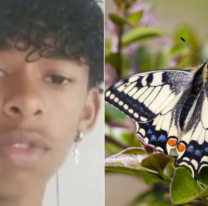 La práctica de la muerte a base de mariposa que está "de moda" entre los jóvenes