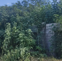 Vecinos del barrio Néstor Kirchner denuncian abandono y basura en Alto Comedero