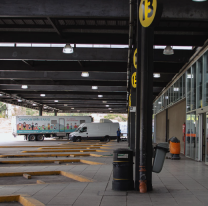 Elecciones: habrá transporte gratuito para jujeños que viven en Córdoba
