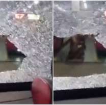 Reventaron los vidrios de los colectivos que no se sumaron al paro