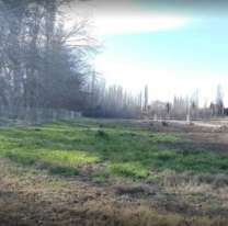 Cayó en el cuento del tío y perdió una fortuna: así atraparon a las estafadoras