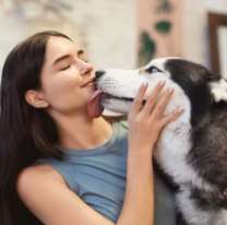 Qué significa que tu perro te lama la cara, según un veterinario