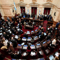 Comenzó el debate en el Senado por el veto a la Ley de Discapacidad y la regulación de los DNU