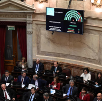 El Senado anula el veto de Milei y reactiva la ley de emergencia en discapacidad