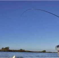 Comenzó la veda de pesca en Jujuy: cuáles son los ríos y zonas alcanzadas