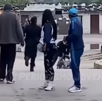 Perrito jujeño agarró a un chorro y se vistió de héroe: todo quedó filmado 