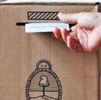 De cuánto es la multa por no votar en las PASO: todos los detalles
