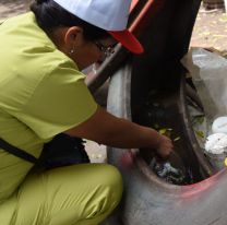Al dengue lo combatimos entre todos: campaña de descacharrado en Jujuy