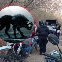 Un cuerpo hallado en un ingenio de Jujuy y la cacería del "perro familiar"
