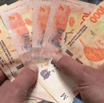 Por la suba del dólar, Anses lanza "Acompañar" y paga $45.540 a miles de argentinos 