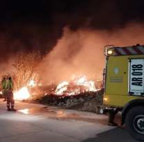 En Jujuy, los incendios consumieron 110 hectáreas en solo un fin de semana