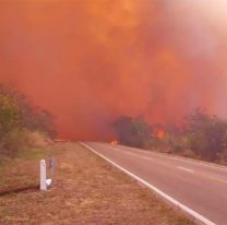 Incendios forestales en Jujuy: preocupación por nuevos focos activos 