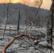 Un incendio forestal en Palpalá encendió todas las alertas