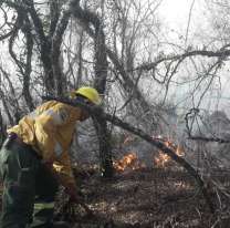 Denuncian que en Jujuy provocan incendios para desarrollos inmobiliarios