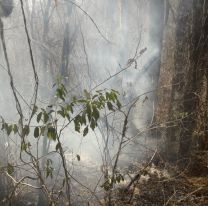 Hay un solo incendio forestal en todo el país y es de Jujuy: intenso trabajo