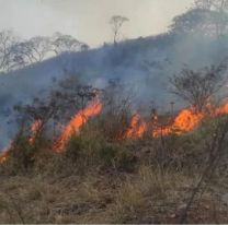 Jujuy, Corrientes, La Pampa y Río Negro mantienen focos activos de incendios forestales