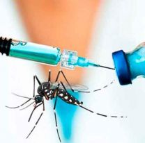 La vacuna contra el dengue llegaría a fin de año: prevendrá la mortalidad e internaciones