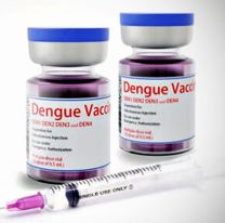 La vacuna contra el dengue está lista: se define la estrategia sanitaria