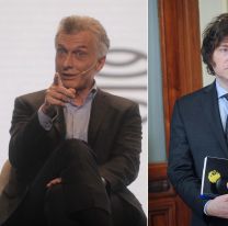 Diputados libertarios aseguran que Macri quiere "cooptar y colonizar" a Milei