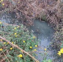 Líquidos cloacales en el Arroyo Huaico y Agua Potable no aparece