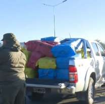 Jujeños atropellaron un gendarme en Salta para fugarse con 500 kilos de coca