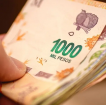 El bono de $81.000 de Anses ya tiene fecha de cobro: cómo anotarse