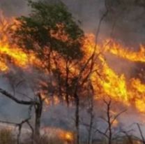 Incendios en Jujuy: Palpalá aún mantiene un foco activo