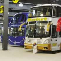 Elecciones en Jujuy: los colectivos de media distancia serán gratuitos