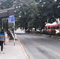 Paro de colectivos en Jujuy: Desde el celu podes justificar tu inasistencia