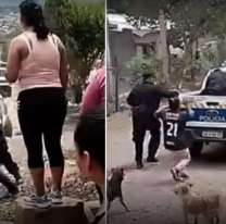Tensión: lincharon a un chorro que arrastró a una nena y le robó la mochila