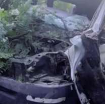 Trafic cayó por un precipicio en Jujuy: Había dos personas adentro