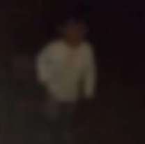 Encontraron a un bebé solo en la frontera: La insólita excusa de los padres