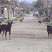 Nena jujeña iba caminando por El Chingo y un desubicado le mostró sus partes