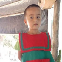 Lograron reconstruir el ADN de Loan: podría complicar a los detenidos