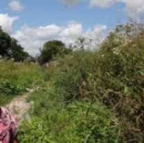 Horror en Jujuy por lo que pasó cerca de una escuela: la llevaron y le hicieron cosas horribles