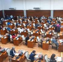 Se espera una jornada muy picante en la legislatura de Jujuy: ¿Qué se debate?