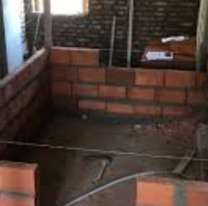 Familia descubrió que el albañil abusaba de su perrita: terrible caso