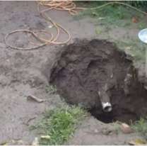 Filtraron detalles del hallazgo sin vida de un changuito en un pozo ciego