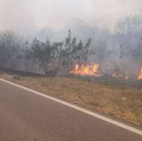 Lograron controlar los incendios en Jujuy pero sigue el peligro