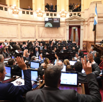 Le pararon el carro a Milei con los DNU: cómo sigue todo para el presidente