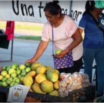 Vuelve la Feria Campesina Pucará en la Vieja Estación: cuándo será