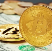 El dólar cripto se desploma tras las elecciones
