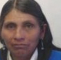 Desesperada búsqueda de una mujer desaparecida en el norte jujeño