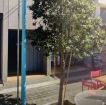 Fracasó la mediación con su esposa y se pegó un tiro en la cabeza en pleno juzgado