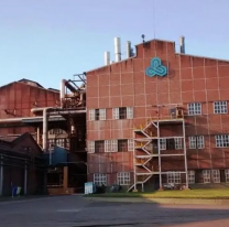 La empresa Ledesma echó a más empleados: ya van 222 despidos en el año