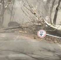 Dos muertos por fuertes ráfagas del viento Zonda en Mendoza
